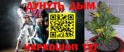 дживик Будённовск