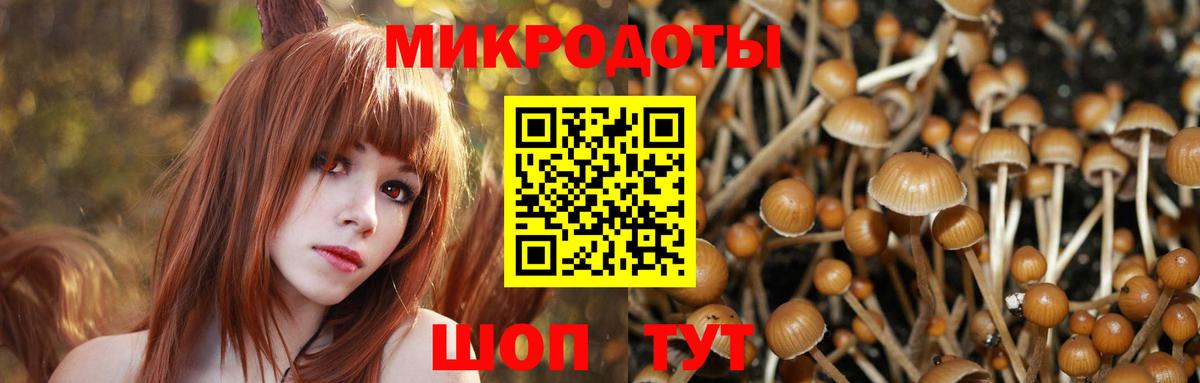 Галлюциногенные грибы мухоморы  Вход с VPN  где купить   Волоколамск  Псилоцибиновые грибы Magic Shrooms 